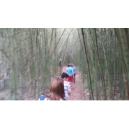 Viaje de 5to. grado 2015